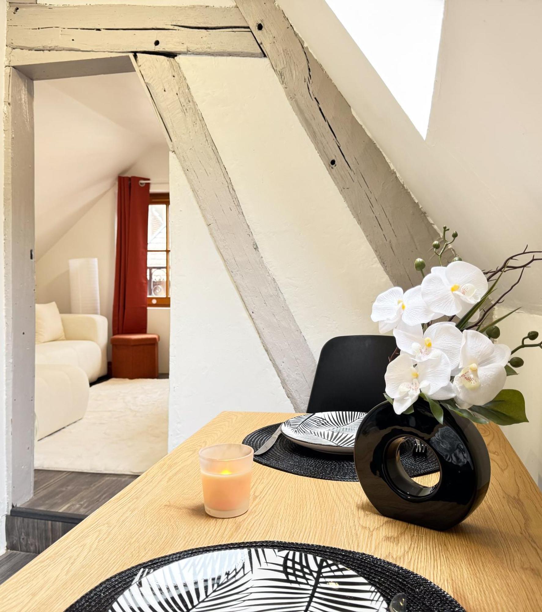 Apartament La Douceur - Hypercentre Pieton De Troyes - Cozy Zewnętrze zdjęcie